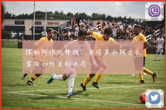 探秘阿根廷锋线：劳塔罗和阿尔瓦雷斯如何互补共存