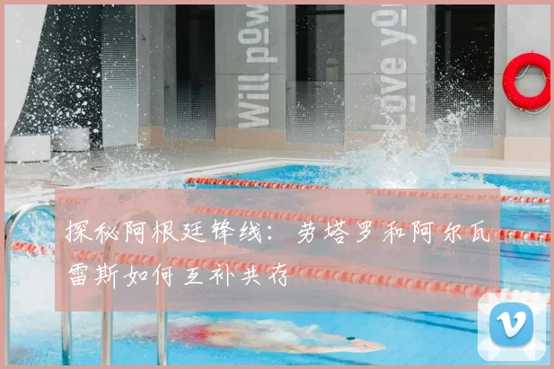 探秘阿根廷锋线:劳塔罗和阿尔瓦雷斯如何互补共存